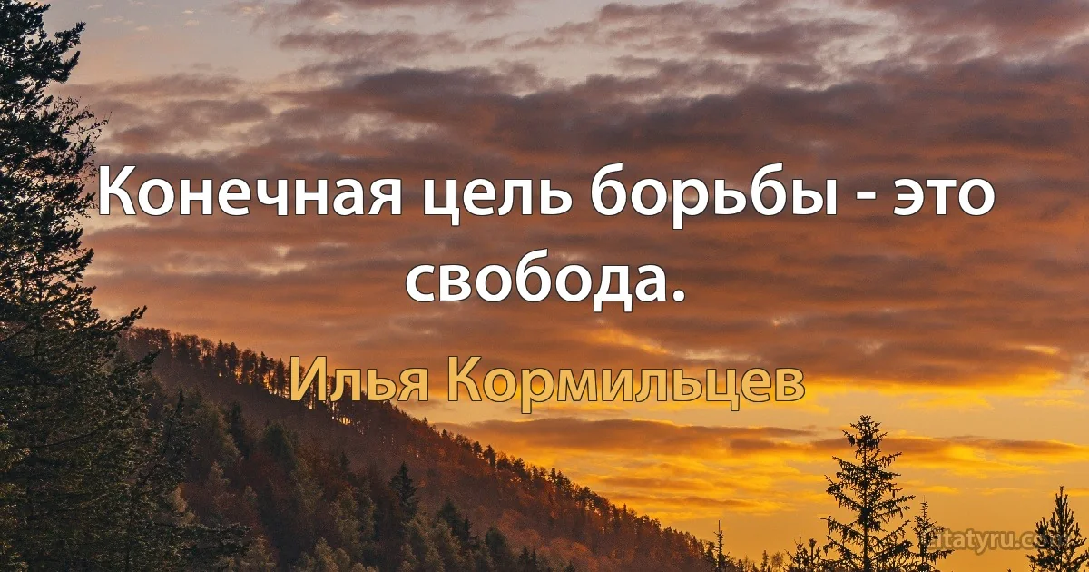 Конечная цель борьбы - это свобода. (Илья Кормильцев)