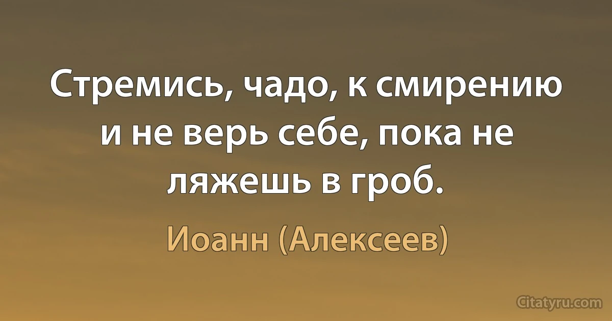 Стремись, чадо, к смирению и не верь себе, пока не ляжешь в гроб. (Иоанн (Алексеев))