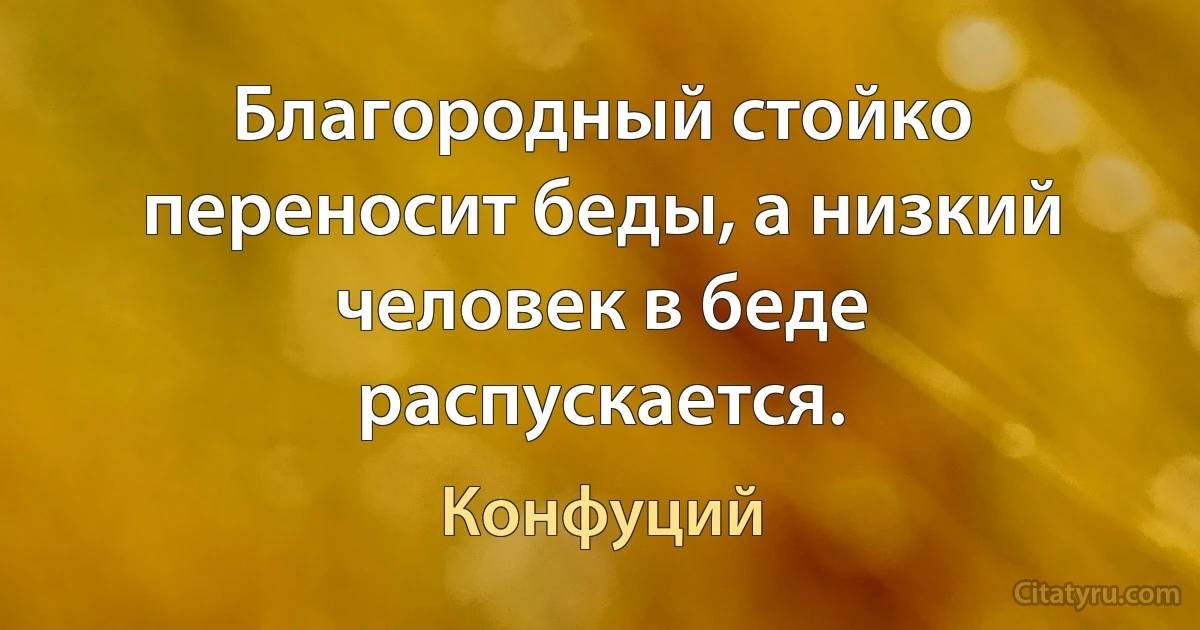 Благородный стойко переносит беды, а низкий человек в беде распускается. (Конфуций)