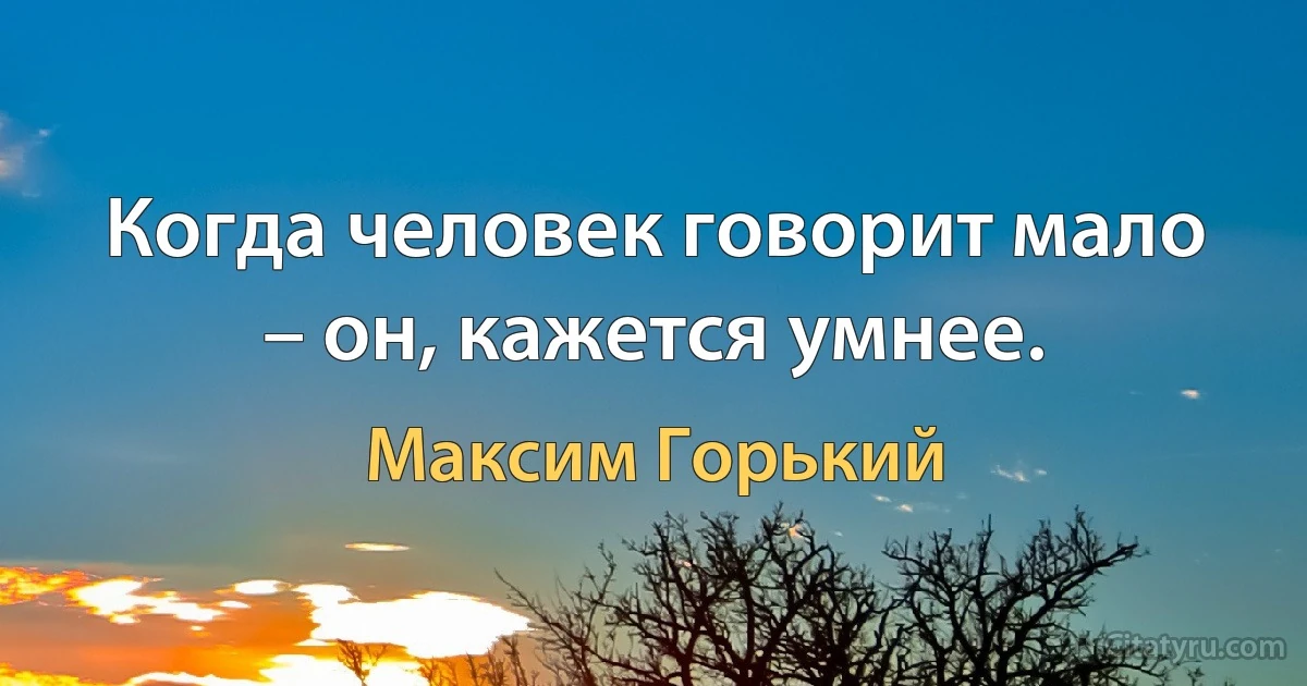 Когда человек говорит мало – он, кажется умнее. (Максим Горький)