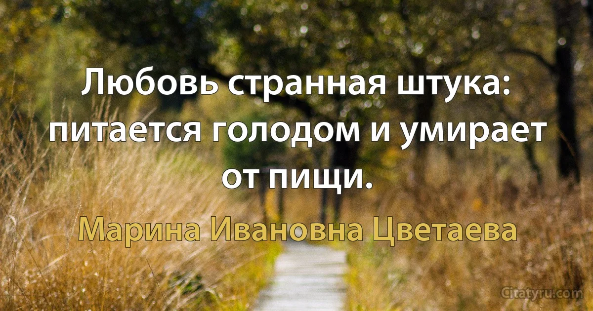 Любовь странная штука: питается голодом и умирает от пищи. (Марина Ивановна Цветаева)