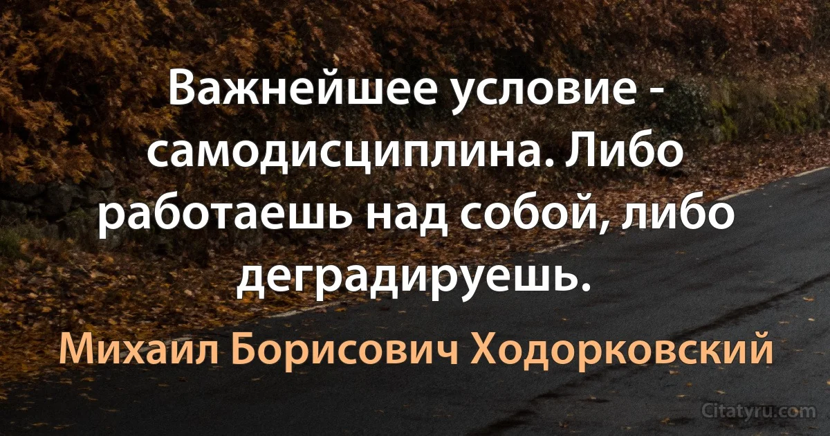 Важнейшее условие - самодисциплина. Либо работаешь над собой, либо деградируешь. (Михаил Борисович Ходорковский)