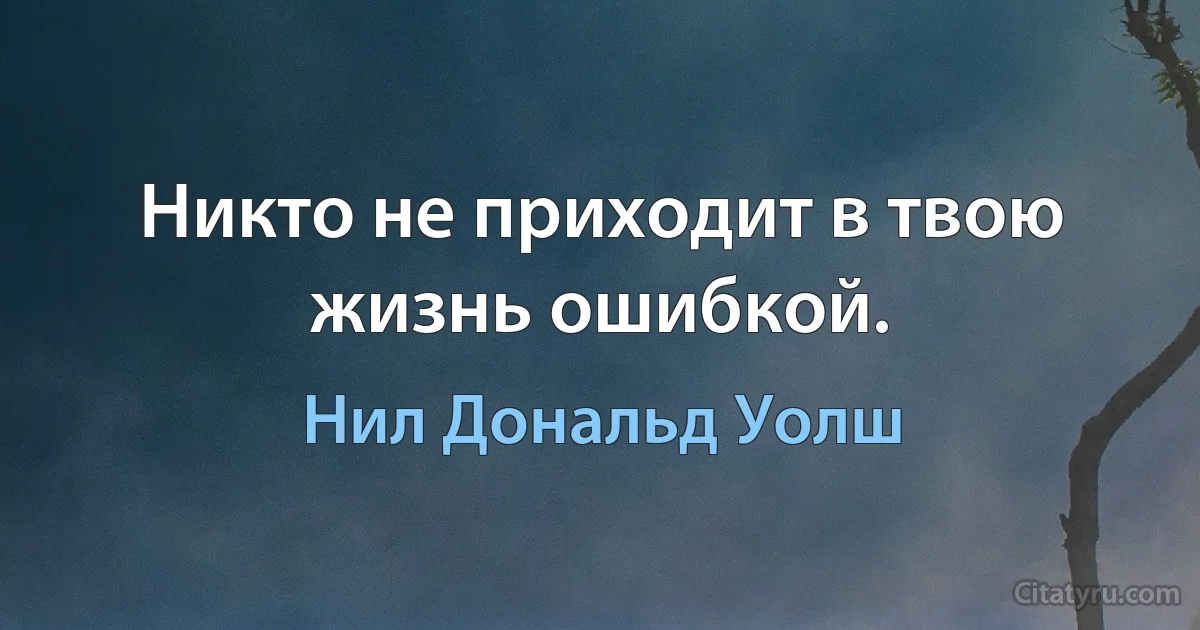 Никто не приходит в твою жизнь ошибкой. (Нил Дональд Уолш)