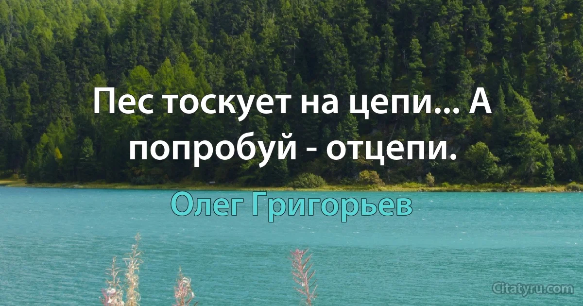 Пес тоскует на цепи... А попробуй - отцепи. (Олег Григорьев)