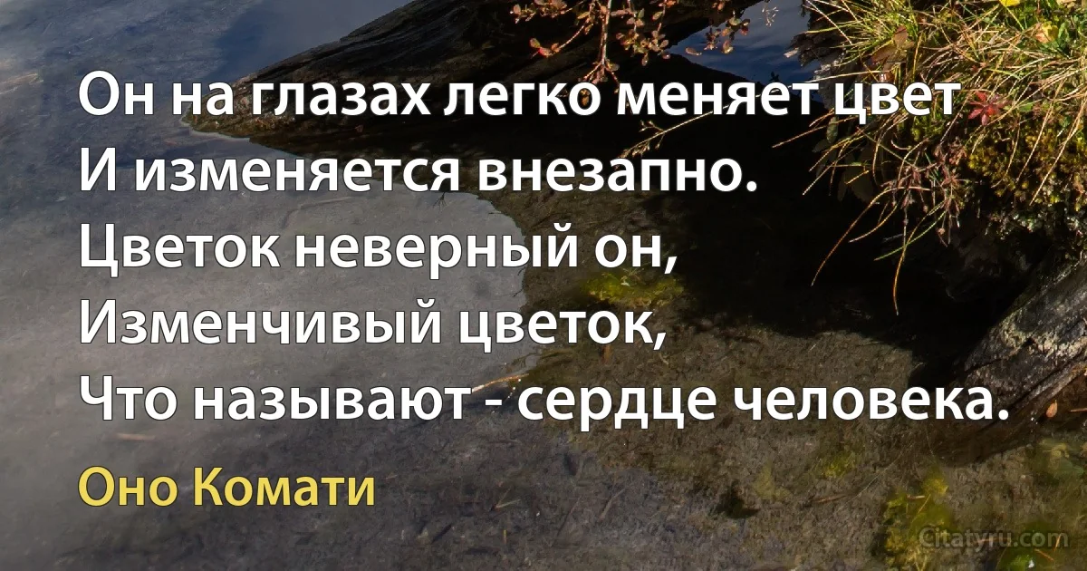 Он на глазах легко меняет цвет
И изменяется внезапно.
Цветок неверный он,
Изменчивый цветок,
Что называют - сердце человека. (Оно Комати)