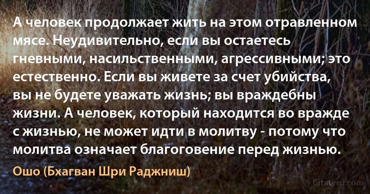 А человек продолжает жить на этом отравленном мясе. Неудивительно, если вы остаетесь гневными, насильственными, агрессивными; это естественно. Если вы живете за счет убийства, вы не будете уважать жизнь; вы враждебны жизни. А человек, который находится во вражде с жизнью, не может идти в молитву - потому что молитва означает благоговение перед жизнью. (Ошо (Бхагван Шри Раджниш))