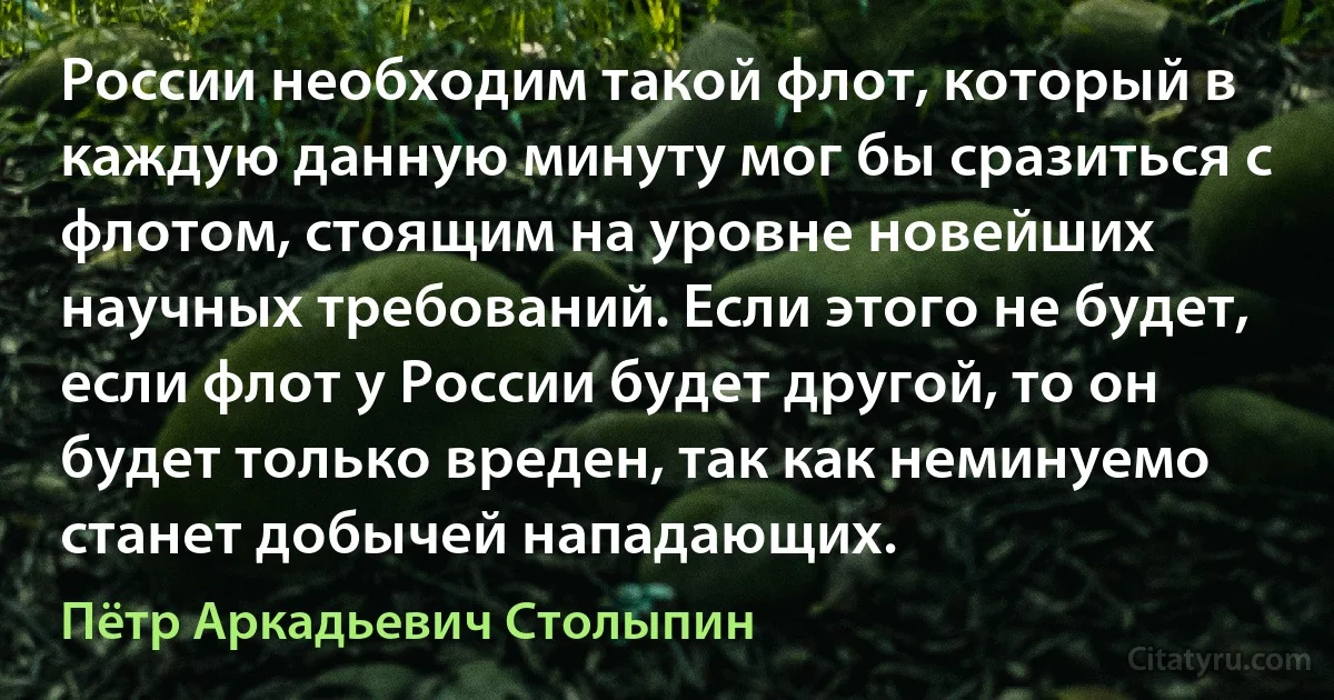 России необходим такой флот, который в каждую данную минуту мог бы сразиться с флотом, стоящим на уровне новейших научных требований. Если этого не будет, если флот у России будет другой, то он будет только вреден, так как неминуемо станет добычей нападающих. (Пётр Аркадьевич Столыпин)