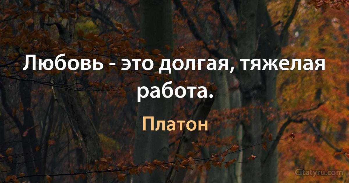 Любовь - это долгая, тяжелая работа. (Платон)