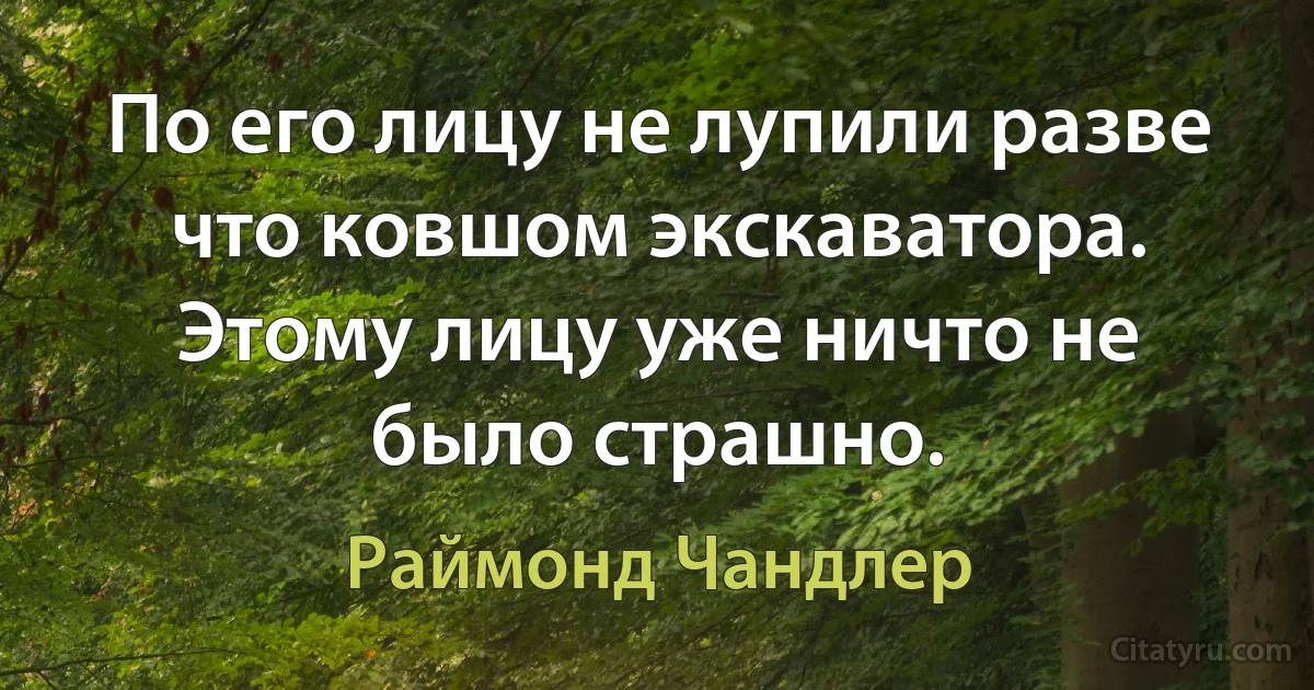 По его лицу не лупили разве что ковшом экскаватора. Этому лицу уже ничто не было страшно. (Раймонд Чандлер)