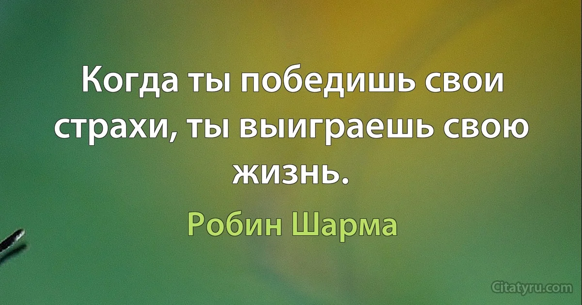 Когда ты победишь свои страхи, ты выиграешь свою жизнь. (Робин Шарма)