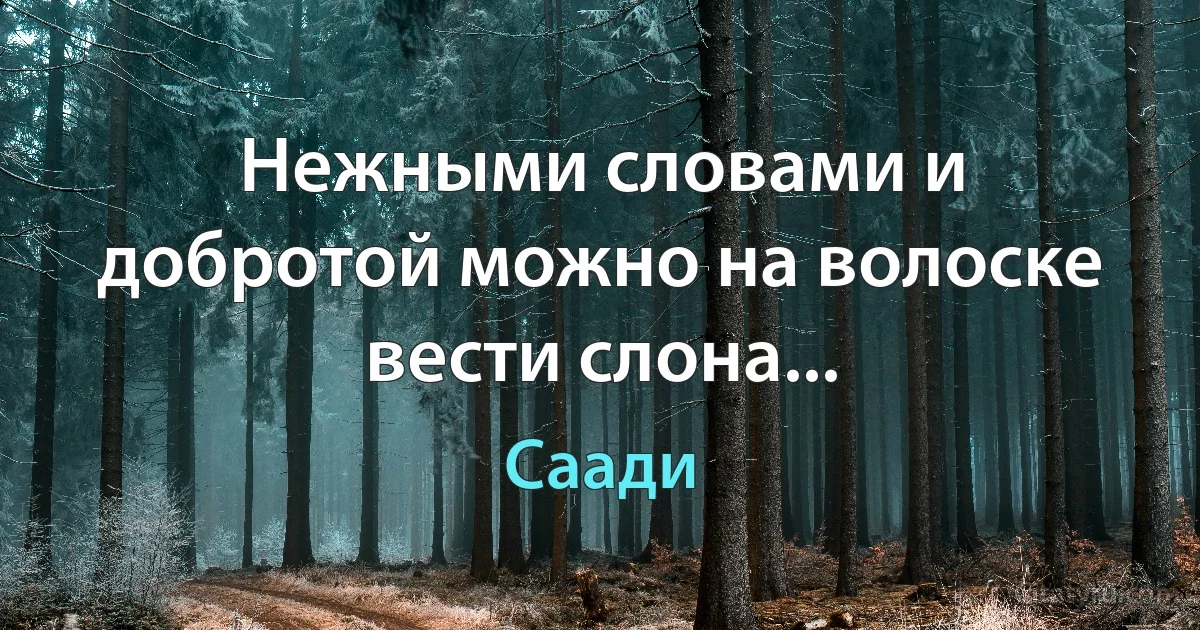 Нежными словами и добротой можно на волоске вести слона... (Саади)