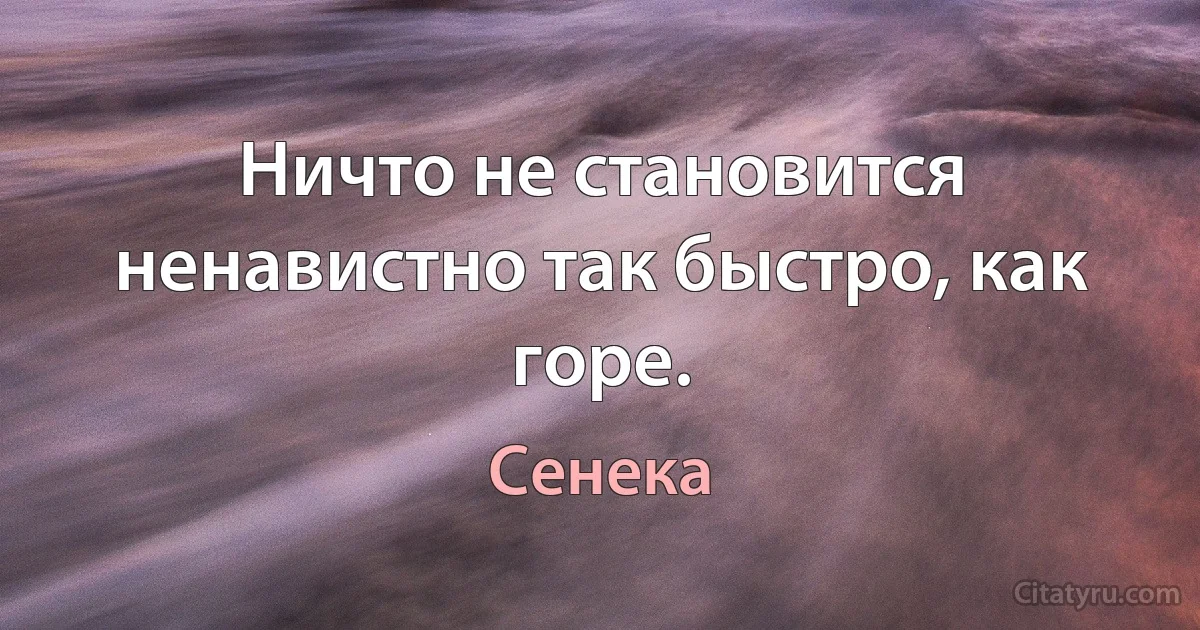 Ничто не становится ненавистно так быстро, как горе. (Сенека)