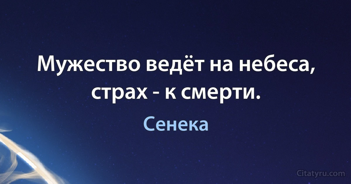 Мужество ведёт на небеса, страх - к смерти. (Сенека)