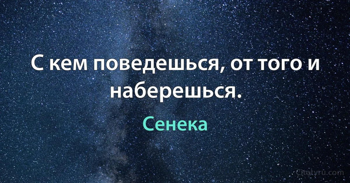 С кем поведешься, от того и наберешься. (Сенека)