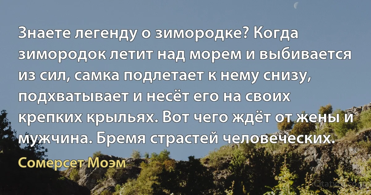 Знаете легенду о зимородке? Когда зимородок летит над морем и выбивается из сил, самка подлетает к нему снизу, подхватывает и несёт его на своих крепких крыльях. Вот чего ждёт от жены и мужчина. Бремя страстей человеческих. (Сомерсет Моэм)