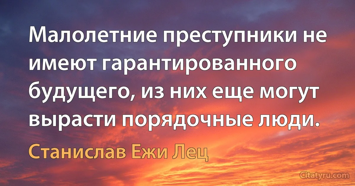 Малолетние преступники не имеют гарантированного будущего, из них еще могут вырасти порядочные люди. (Станислав Ежи Лец)