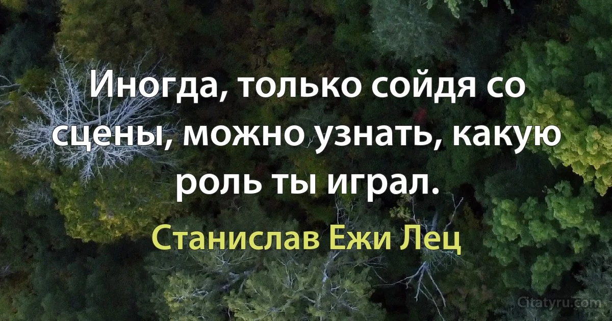 Иногда, только сойдя со сцены, можно узнать, какую роль ты играл. (Станислав Ежи Лец)