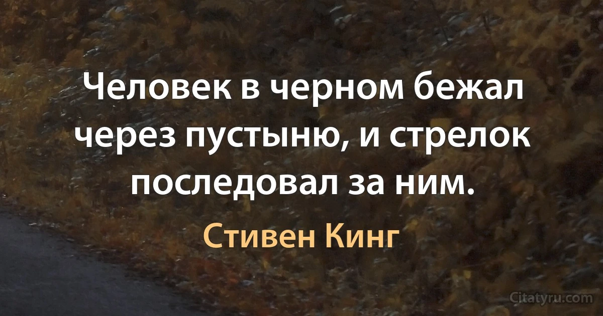 Человек в черном бежал через пустыню, и стрелок последовал за ним. (Стивен Кинг)