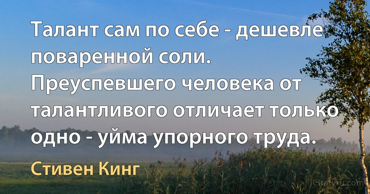 Талант сам по себе - дешевле поваренной соли. Преуспевшего человека от талантливого отличает только одно - уйма упорного труда. (Стивен Кинг)