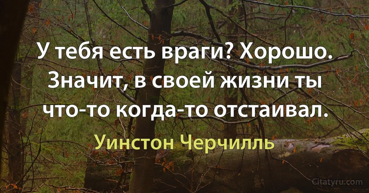 У тебя есть враги? Хорошо. Значит, в своей жизни ты что-то когда-то отстаивал. (Уинстон Черчилль)