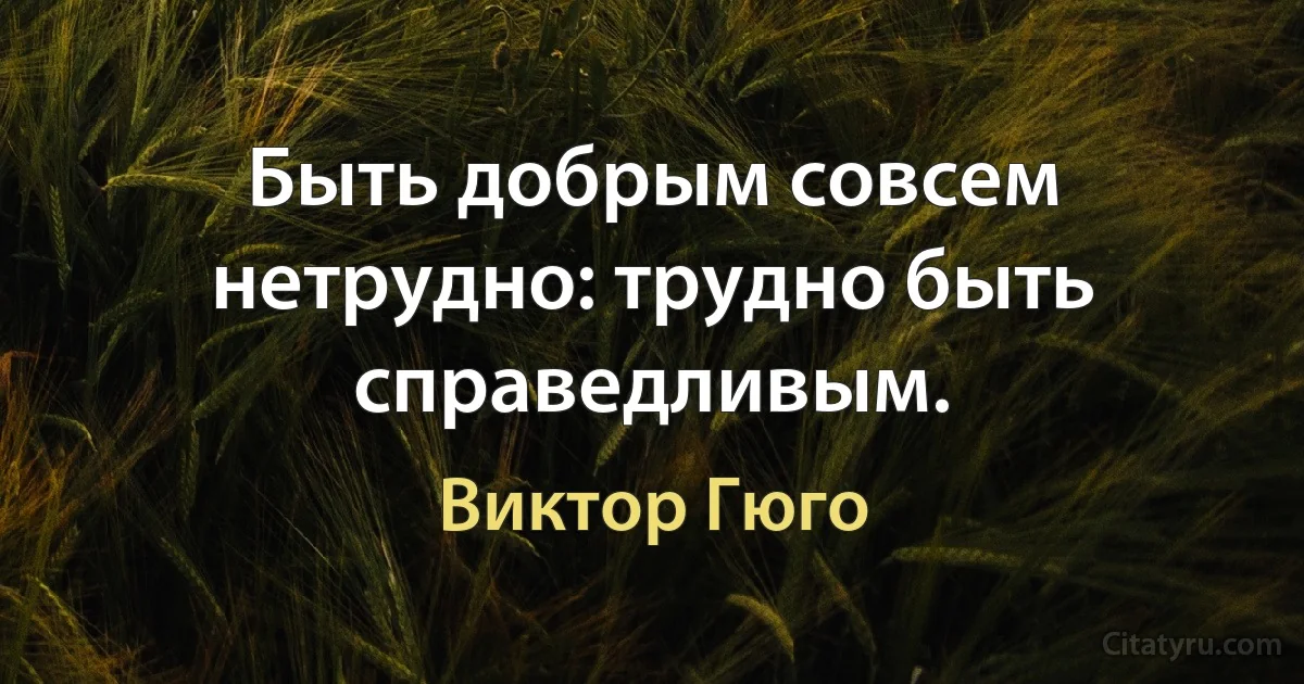 Быть добрым совсем нетрудно: трудно быть справедливым. (Виктор Гюго)