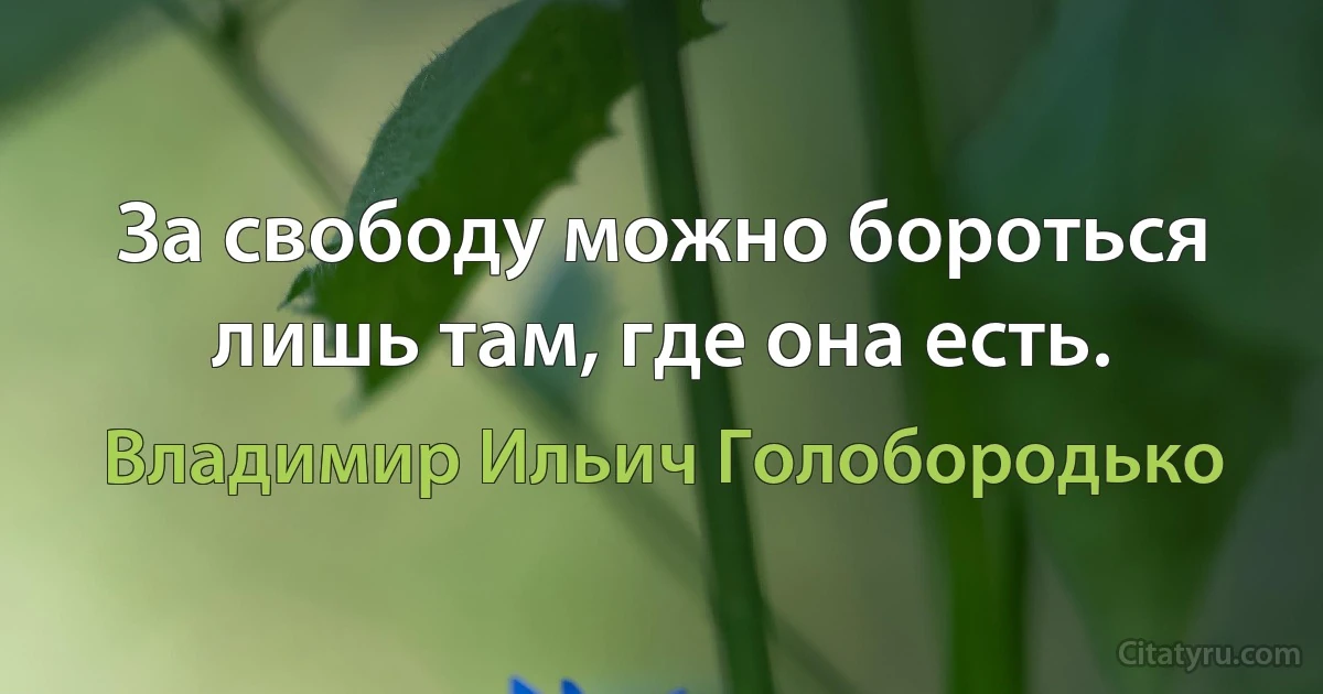 За свободу можно бороться лишь там, где она есть. (Владимир Ильич Голобородько)