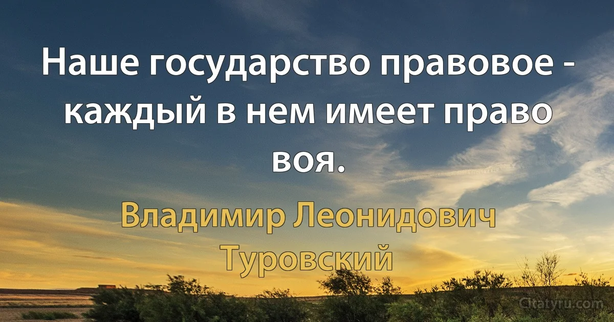 Наше государство правовое - каждый в нем имеет право воя. (Владимир Леонидович Туровский)