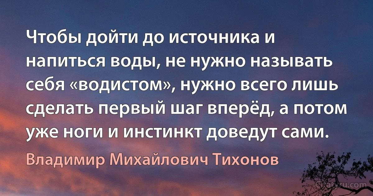 Чтобы дойти до источника и напиться воды, не нужно называть себя «водистом», нужно всего лишь сделать первый шаг вперёд, а потом уже ноги и инстинкт доведут сами. (Владимир Михайлович Тихонов)