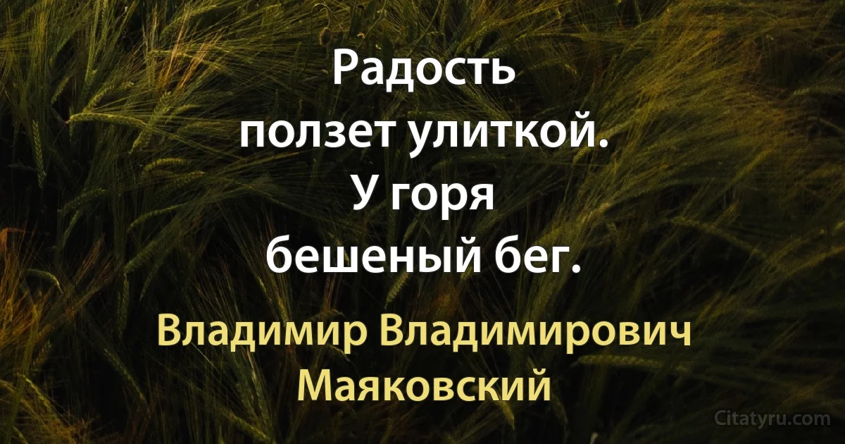 Радость
ползет улиткой.
У горя
бешеный бег. (Владимир Владимирович Маяковский)