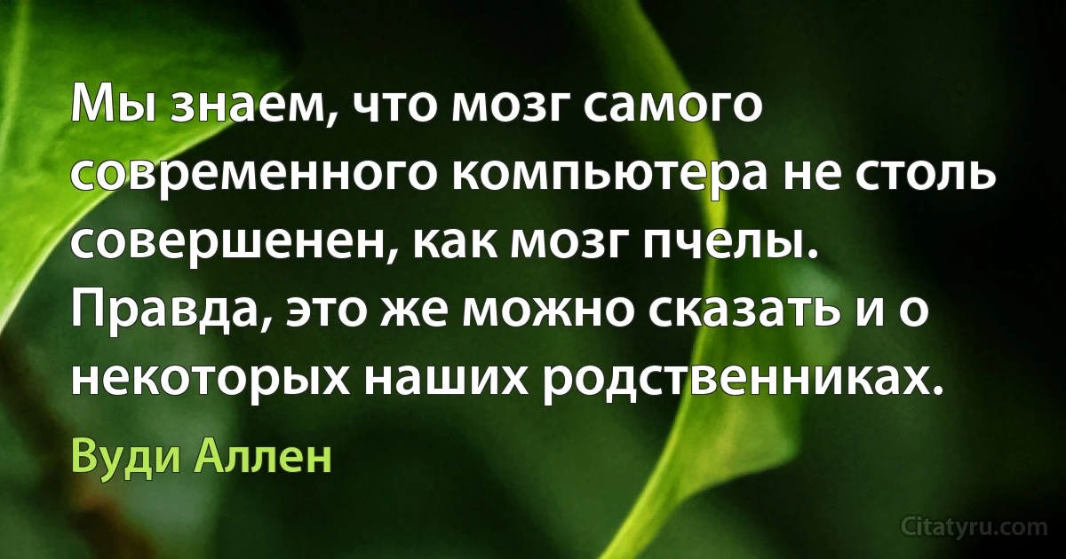 Мы знаем, что мозг самого современного компьютера не столь совершенен, как мозг пчелы. Правда, это же можно сказать и о некоторых наших родственниках. (Вуди Аллен)