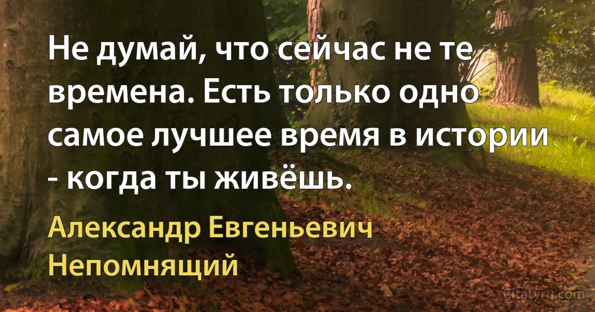 Не думай, что сейчас не те времена. Есть только одно самое лучшее время в истории - когда ты живёшь. (Александр Евгеньевич Непомнящий)