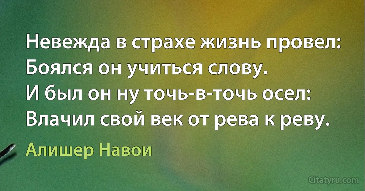 Невежда в страхе жизнь провел:
Боялся он учиться слову.
И был он ну точь-в-точь осел:
Влачил свой век от рева к реву. (Алишер Навои)