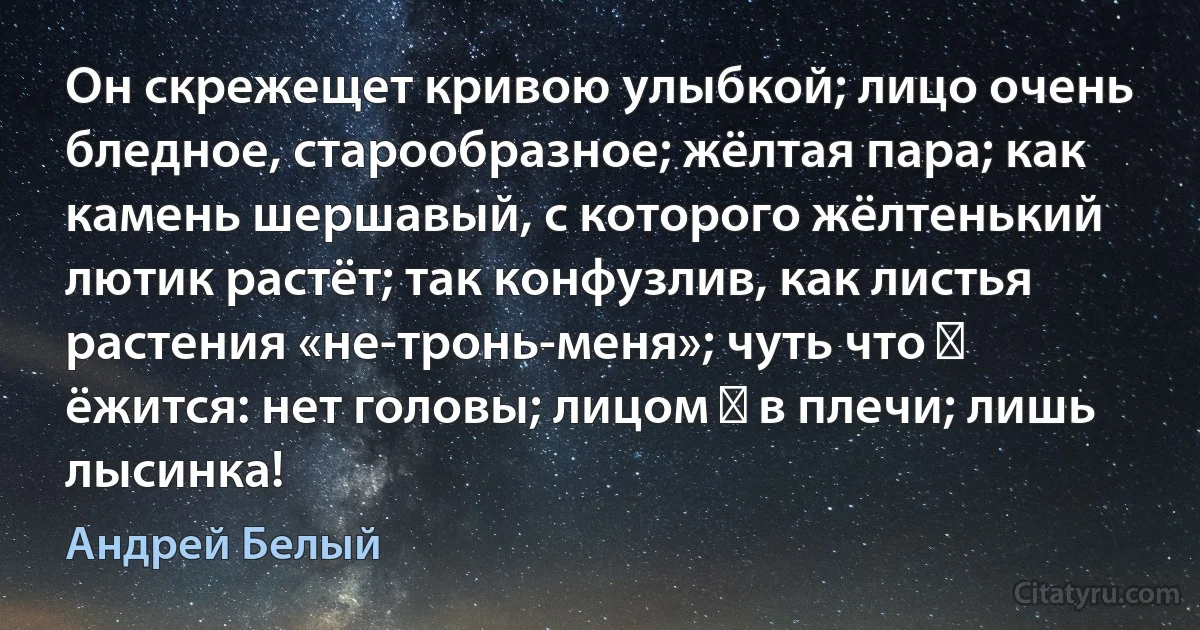 Он скрежещет кривою улыбкой; лицо очень бледное, старообразное; жёлтая пара; как камень шершавый, с которого жёлтенький лютик растёт; так конфузлив, как листья растения «не-тронь-меня»; чуть что ― ёжится: нет головы; лицом ― в плечи; лишь лысинка! (Андрей Белый)