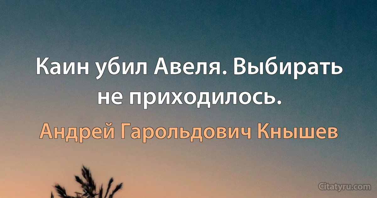 Каин убил Авеля. Выбирать не приходилось. (Андрей Гарольдович Кнышев)