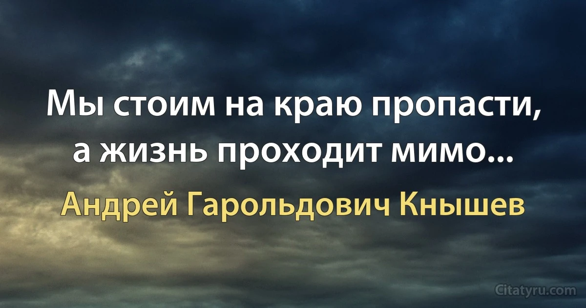 Мы стоим на краю пропасти, а жизнь проходит мимо... (Андрей Гарольдович Кнышев)