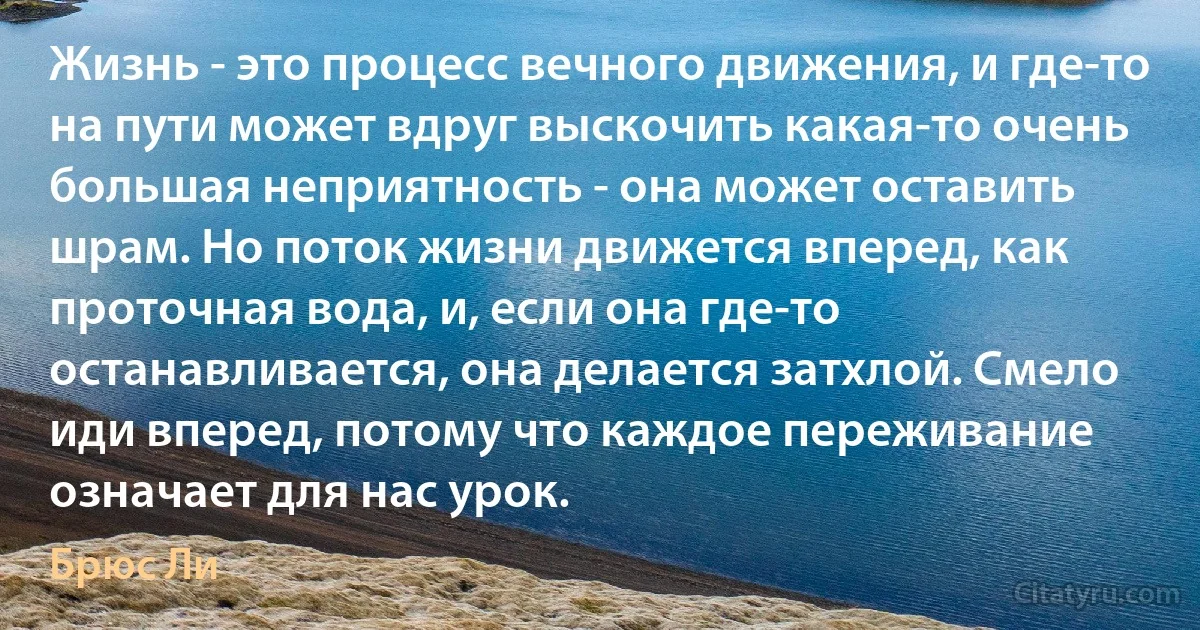 Жизнь - это процесс вечного движения, и где-то на пути может вдруг выскочить какая-то очень большая неприятность - она может оставить шрам. Но поток жизни движется вперед, как проточная вода, и, если она где-то останавливается, она делается затхлой. Смело иди вперед, потому что каждое переживание означает для нас урок. (Брюс Ли)