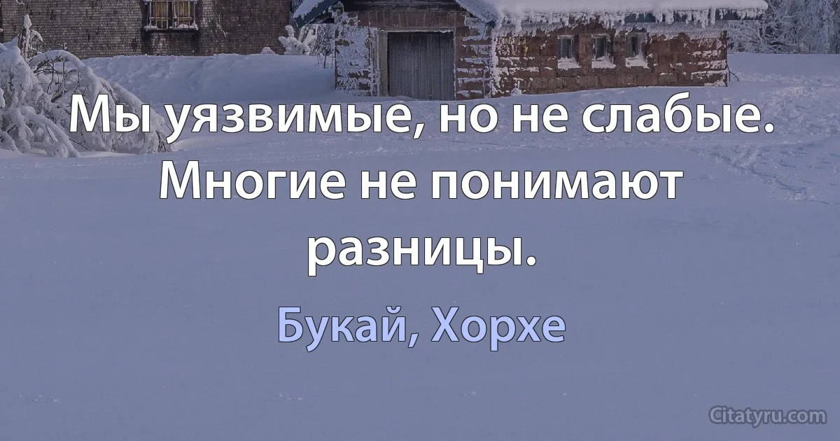 Мы уязвимые, но не слабые. Многие не понимают разницы. (Букай, Хорхе)