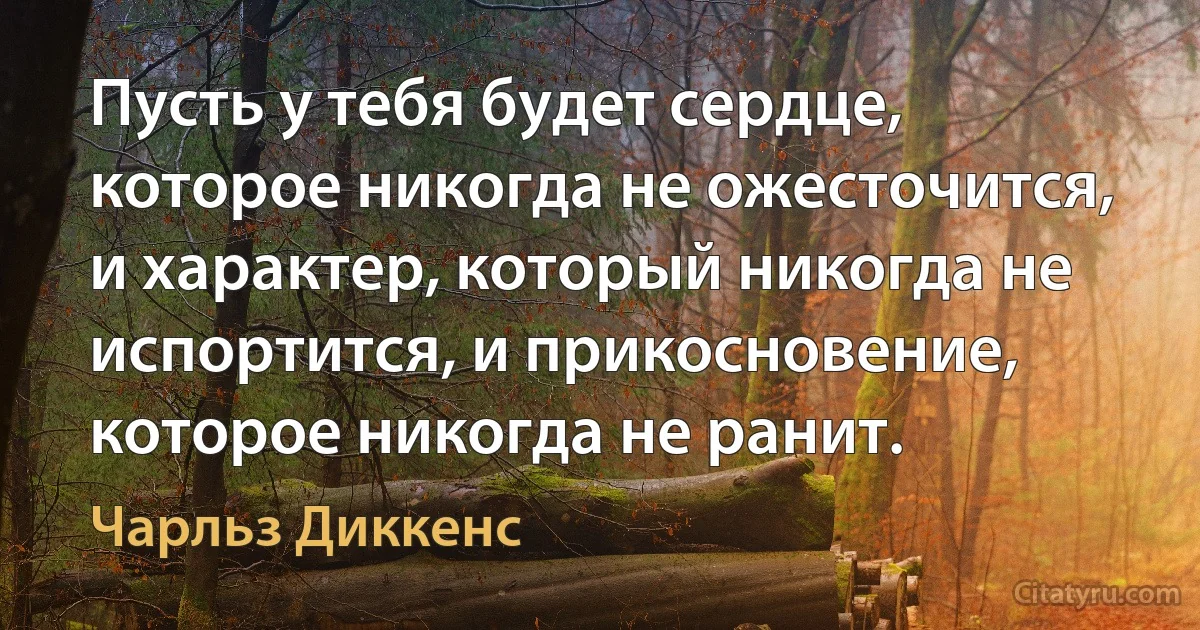 Пусть у тебя будет сердце, которое никогда не ожесточится, и характер, который никогда не испортится, и прикосновение, которое никогда не ранит. (Чарльз Диккенс)