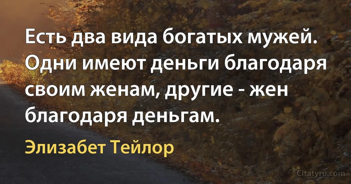 Есть два вида богатых мужей. Одни имеют деньги благодаря своим женам, другие - жен благодаря деньгам. (Элизабет Тейлор)