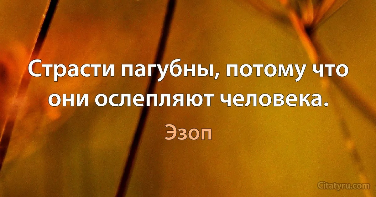 Страсти пагубны, потому что они ослепляют человека. (Эзоп)