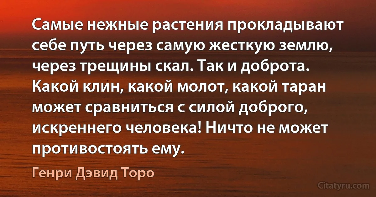 Самые нежные растения прокладывают себе путь через самую жесткую землю, через трещины скал. Так и доброта. Какой клин, какой молот, какой таран может сравниться с силой доброго, искреннего человека! Ничто не может противостоять ему. (Генри Дэвид Торо)