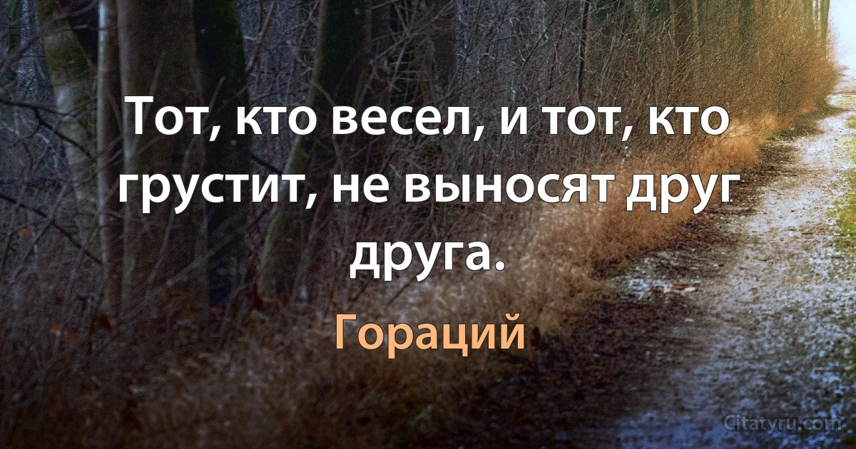 Тот, кто весел, и тот, кто грустит, не выносят друг друга. (Гораций)