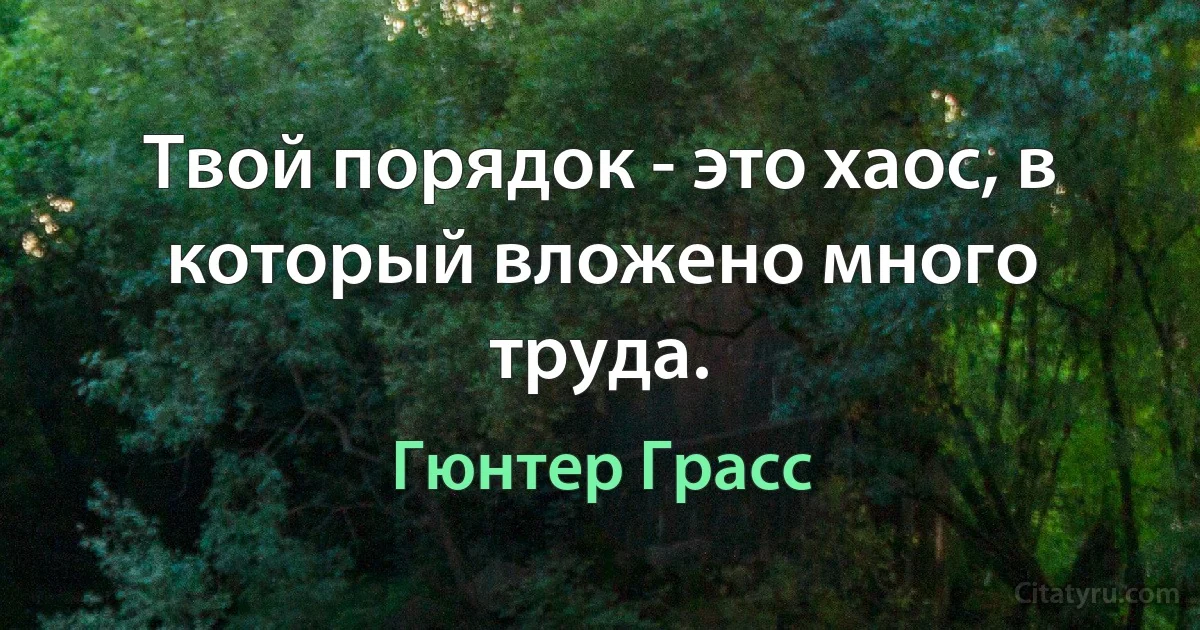 Твой порядок - это хаос, в который вложено много труда. (Гюнтер Грасс)