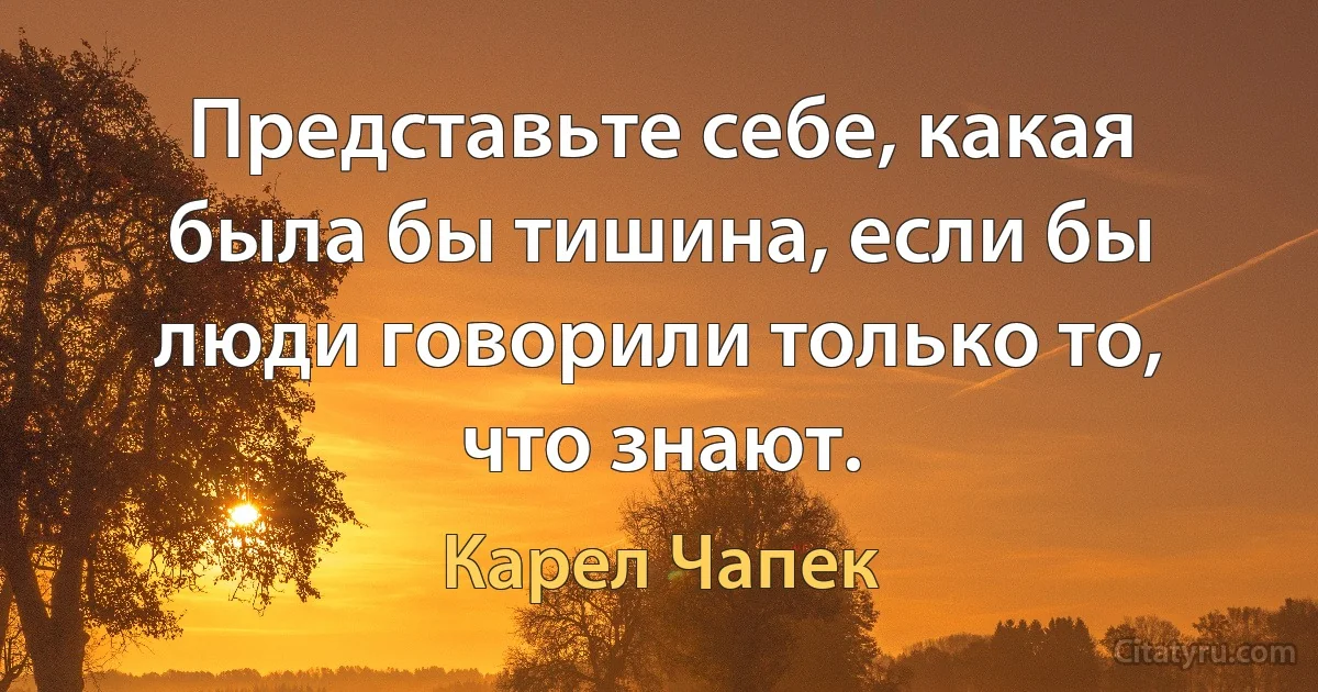 Представьте себе, какая была бы тишина, если бы люди говорили только то, что знают. (Карел Чапек)