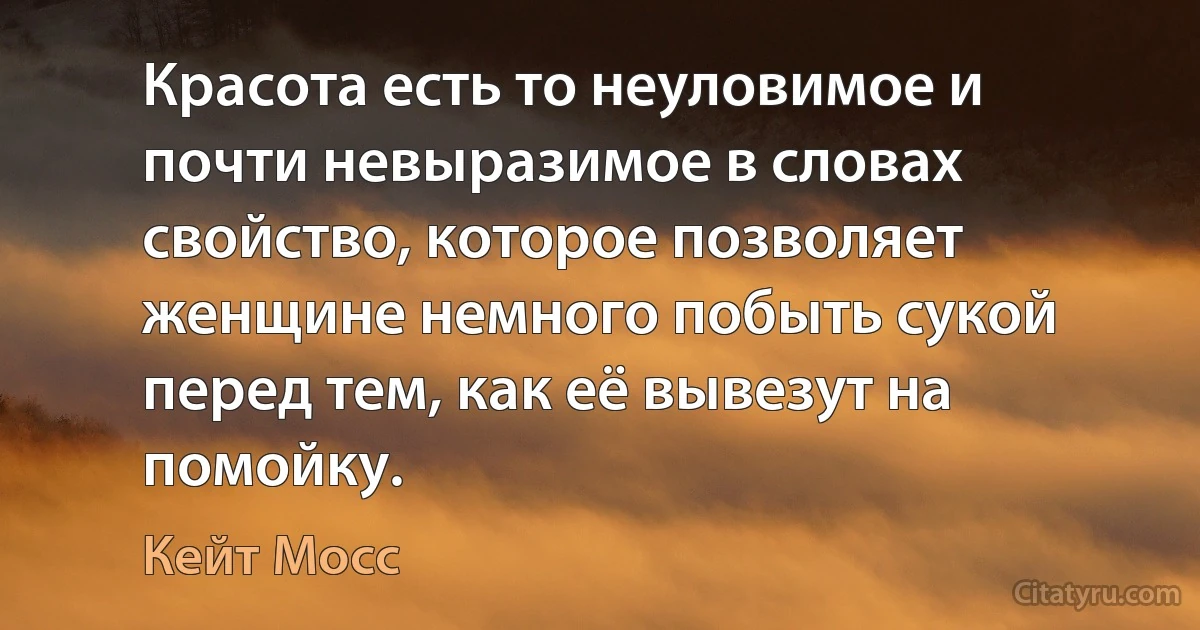 Красота есть то неуловимое и почти невыразимое в словах свойство, которое позволяет женщине немного побыть сукой перед тем, как её вывезут на помойку. (Кейт Мосс)