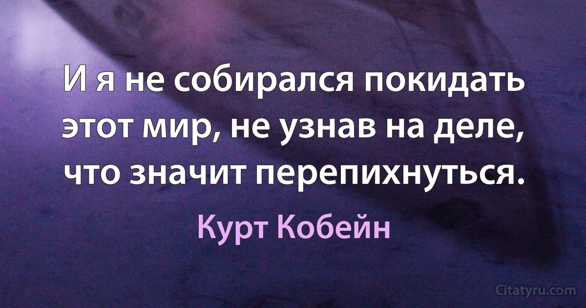 И я не собирался покидать этот мир, не узнав на деле, что значит перепихнуться. (Курт Кобейн)