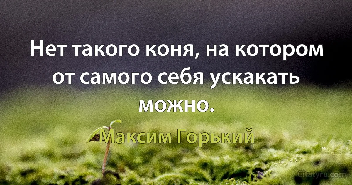 Нет такого коня, на котором от самого себя ускакать можно. (Максим Горький)