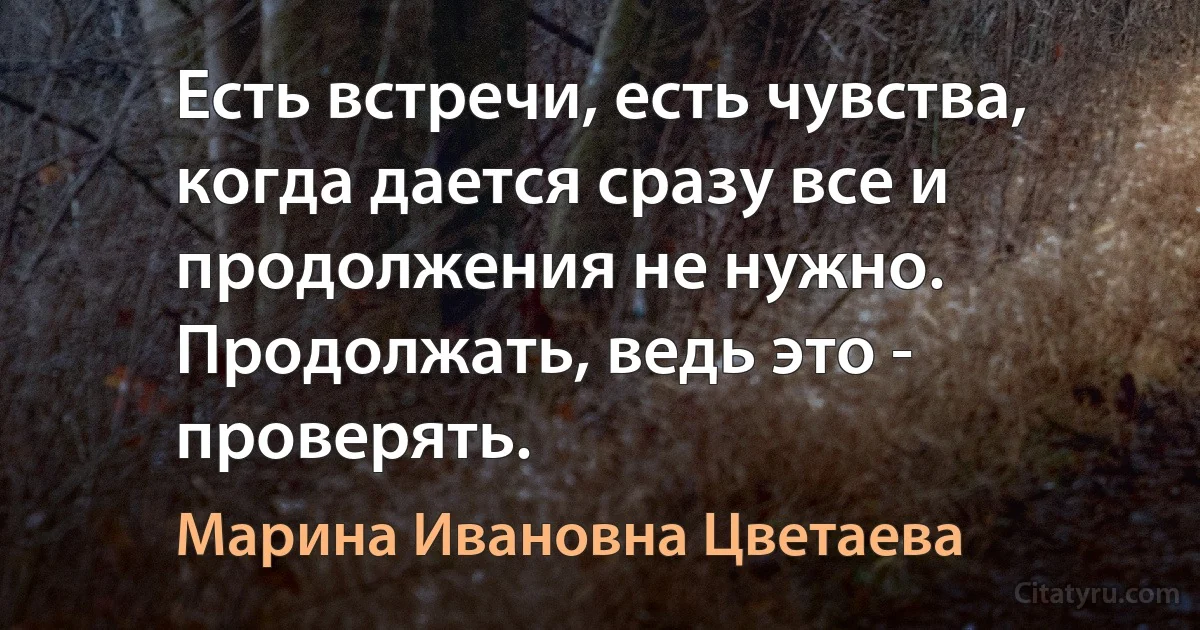 Есть встречи, есть чувства, когда дается сразу все и продолжения не нужно. Продолжать, ведь это - проверять. (Марина Ивановна Цветаева)