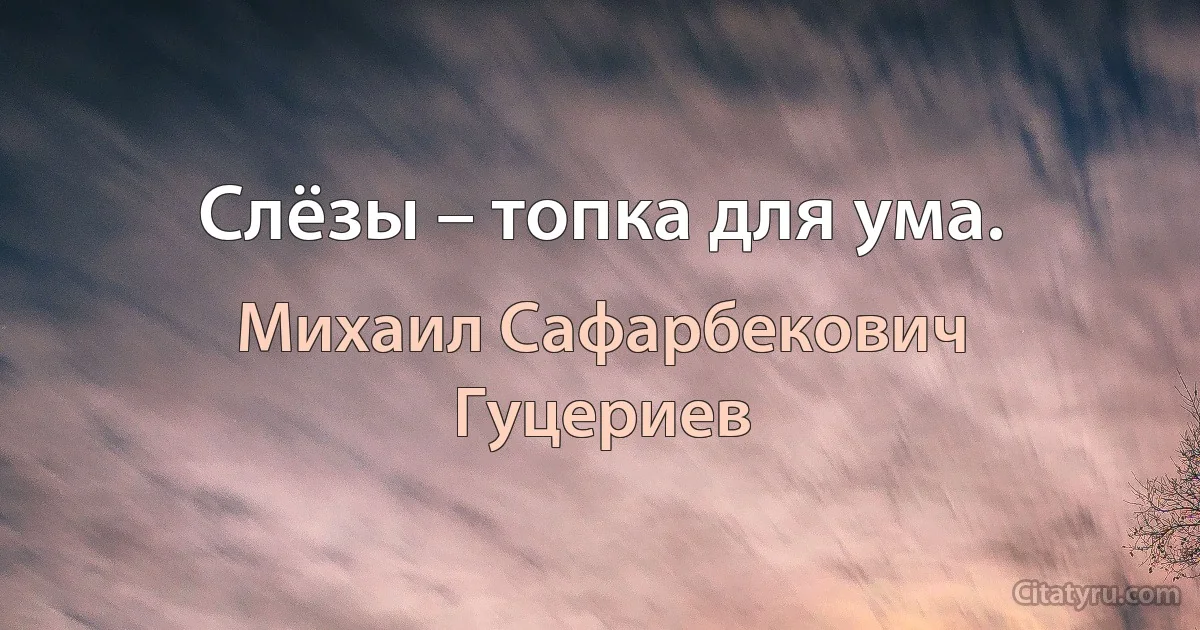 Слёзы – топка для ума. (Михаил Сафарбекович Гуцериев)