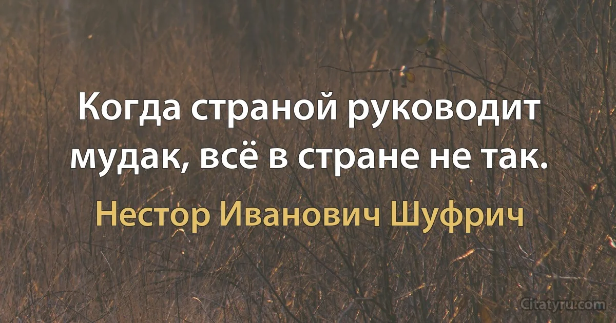 Когда страной руководит мудак, всё в стране не так. (Нестор Иванович Шуфрич)